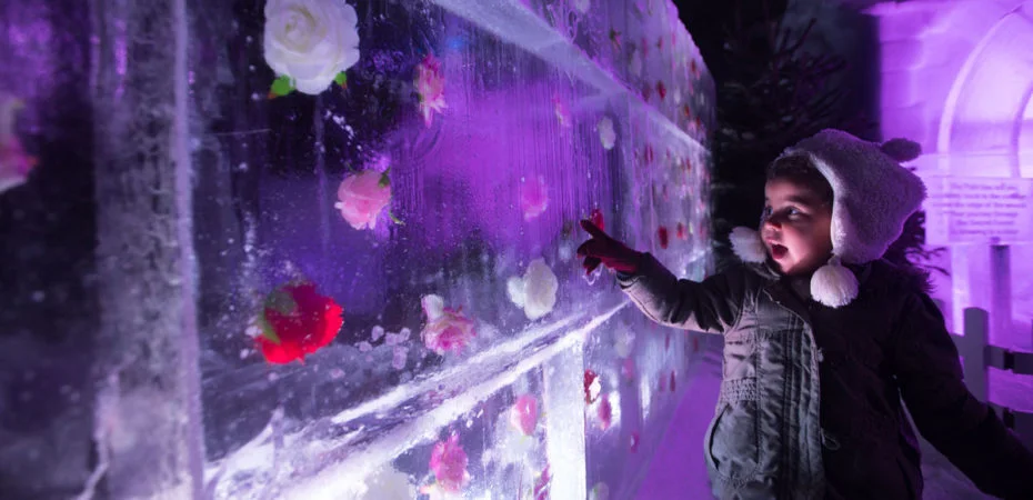 Magical-Ice-Kingdom-1-aspect-ratio-930-450-2