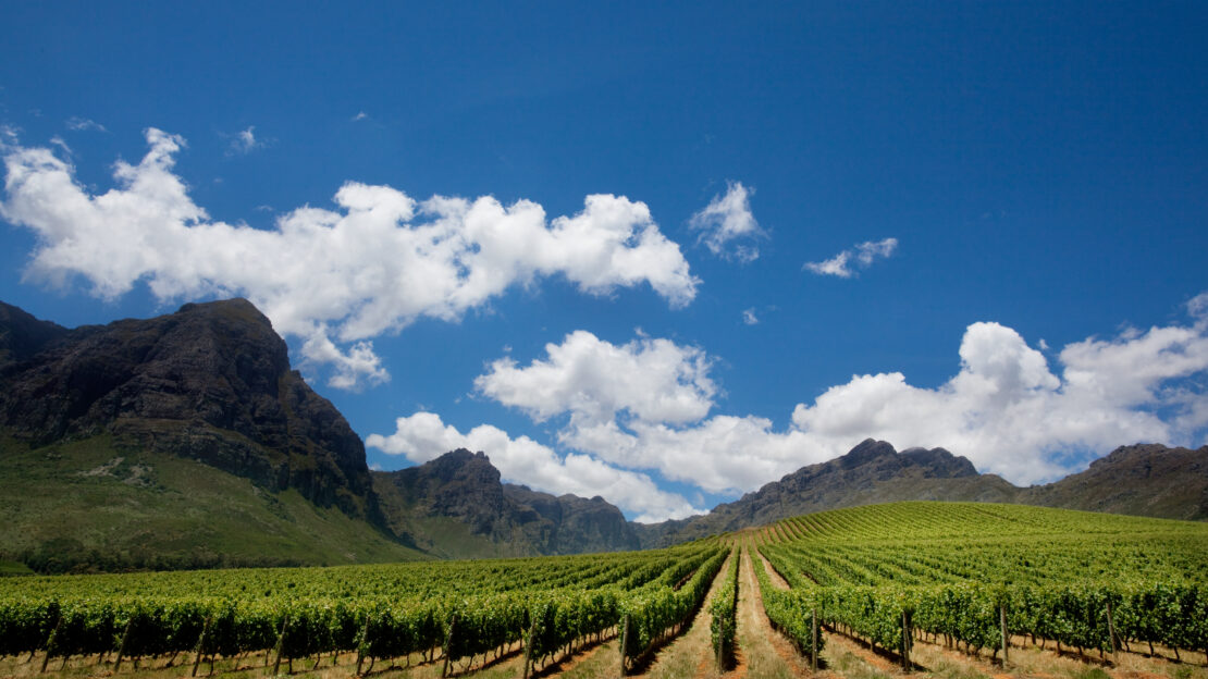 John Downes – Master of Wine